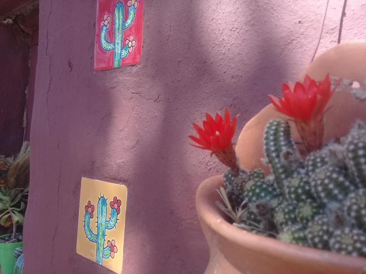 Cabana El Cardon,Casita En El Campo Quebradeno Humahuaca Exterior foto