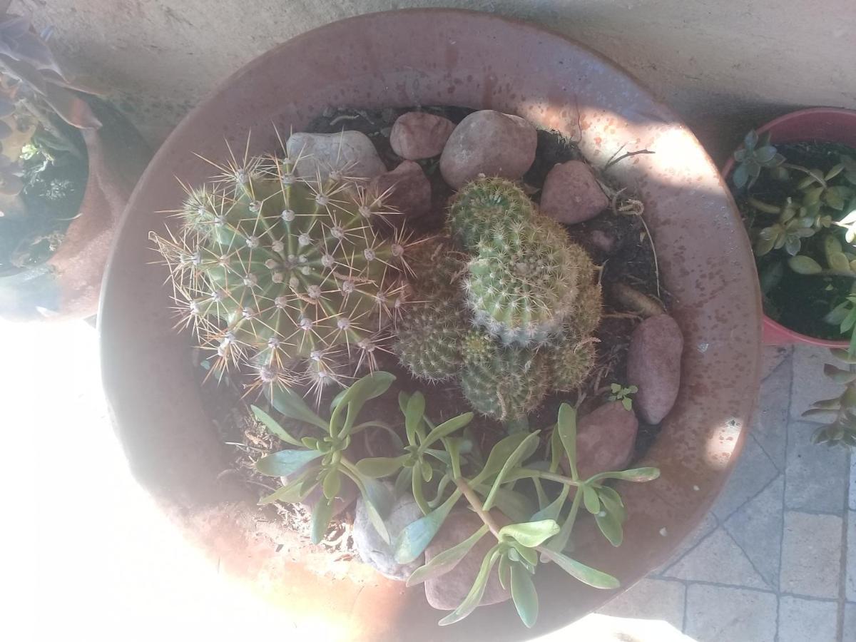 Cabana El Cardon,Casita En El Campo Quebradeno Humahuaca Exterior foto
