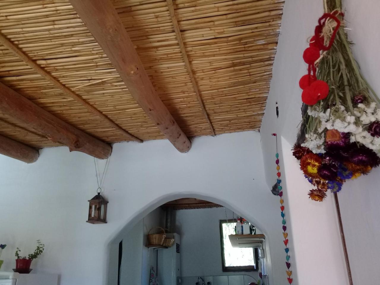 Cabana El Cardon,Casita En El Campo Quebradeno Humahuaca Exterior foto