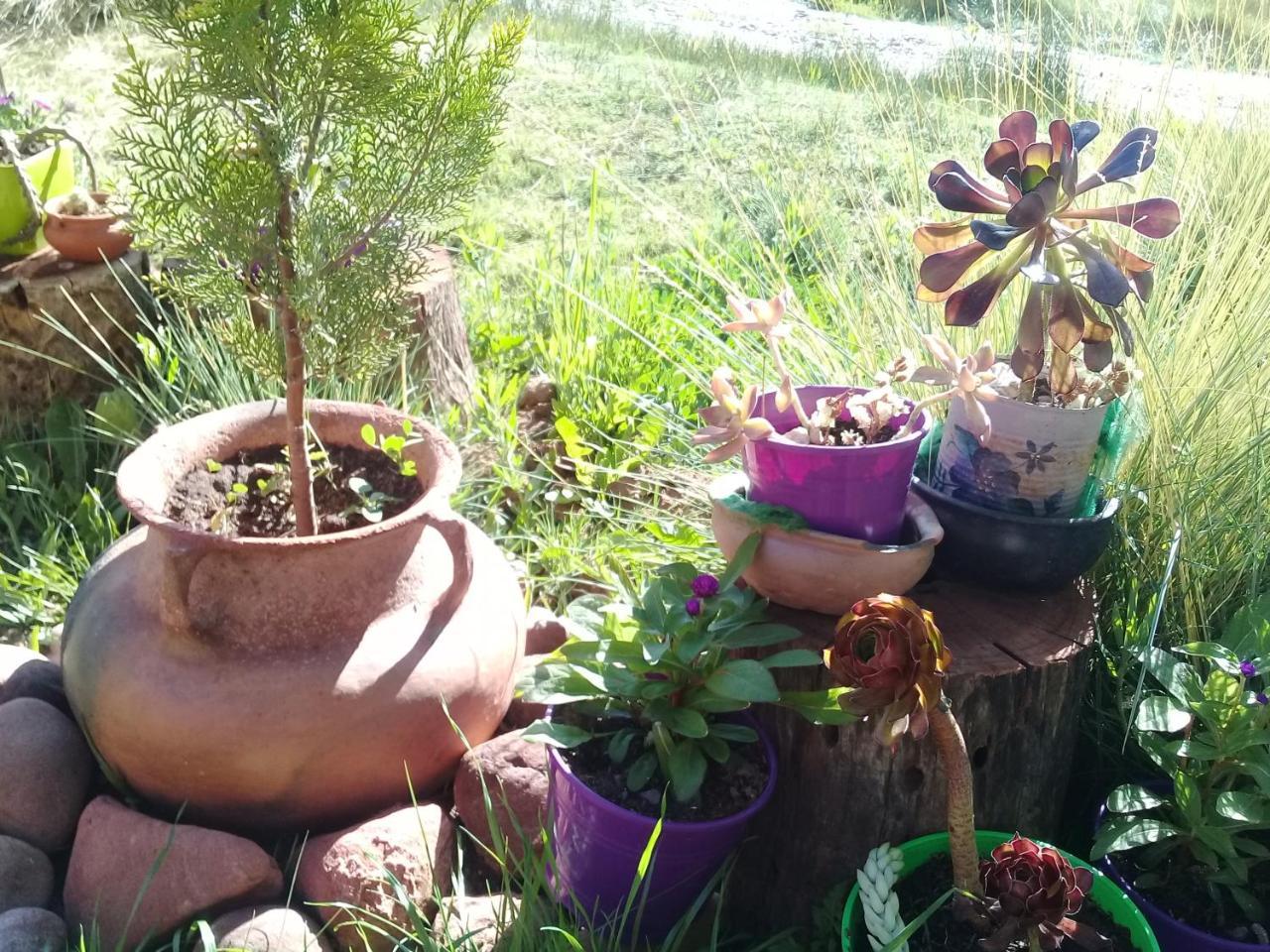 Cabana El Cardon,Casita En El Campo Quebradeno Humahuaca Exterior foto