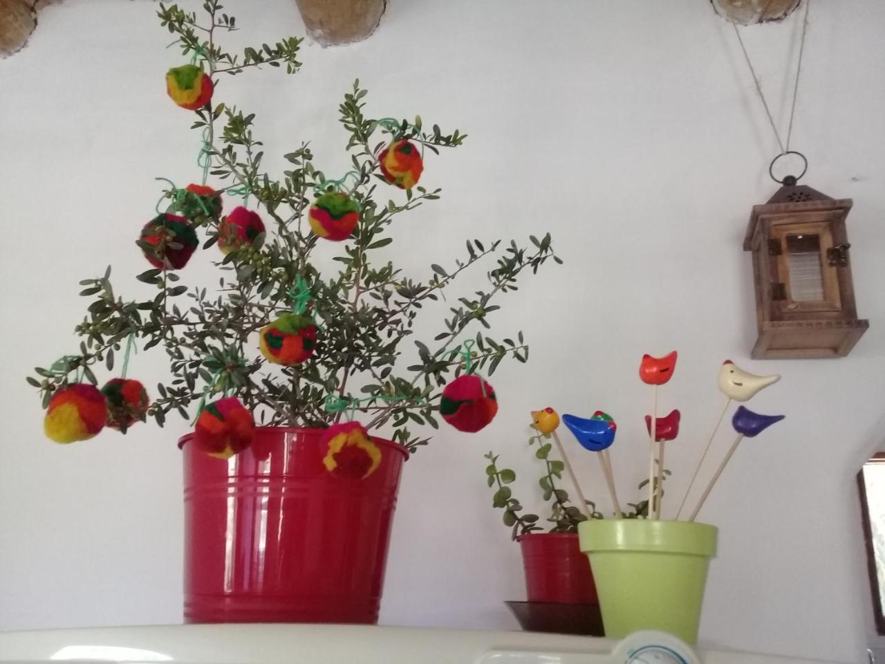 Cabana El Cardon,Casita En El Campo Quebradeno Humahuaca Exterior foto