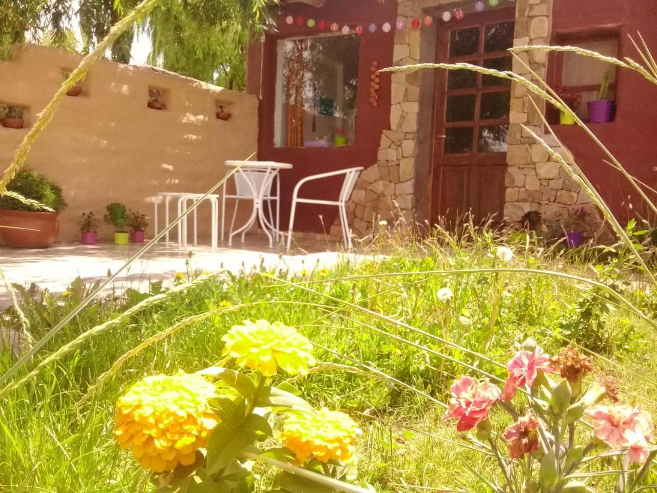 Cabana El Cardon,Casita En El Campo Quebradeno Humahuaca Exterior foto