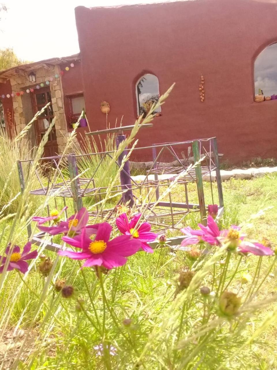 Cabana El Cardon,Casita En El Campo Quebradeno Humahuaca Exterior foto