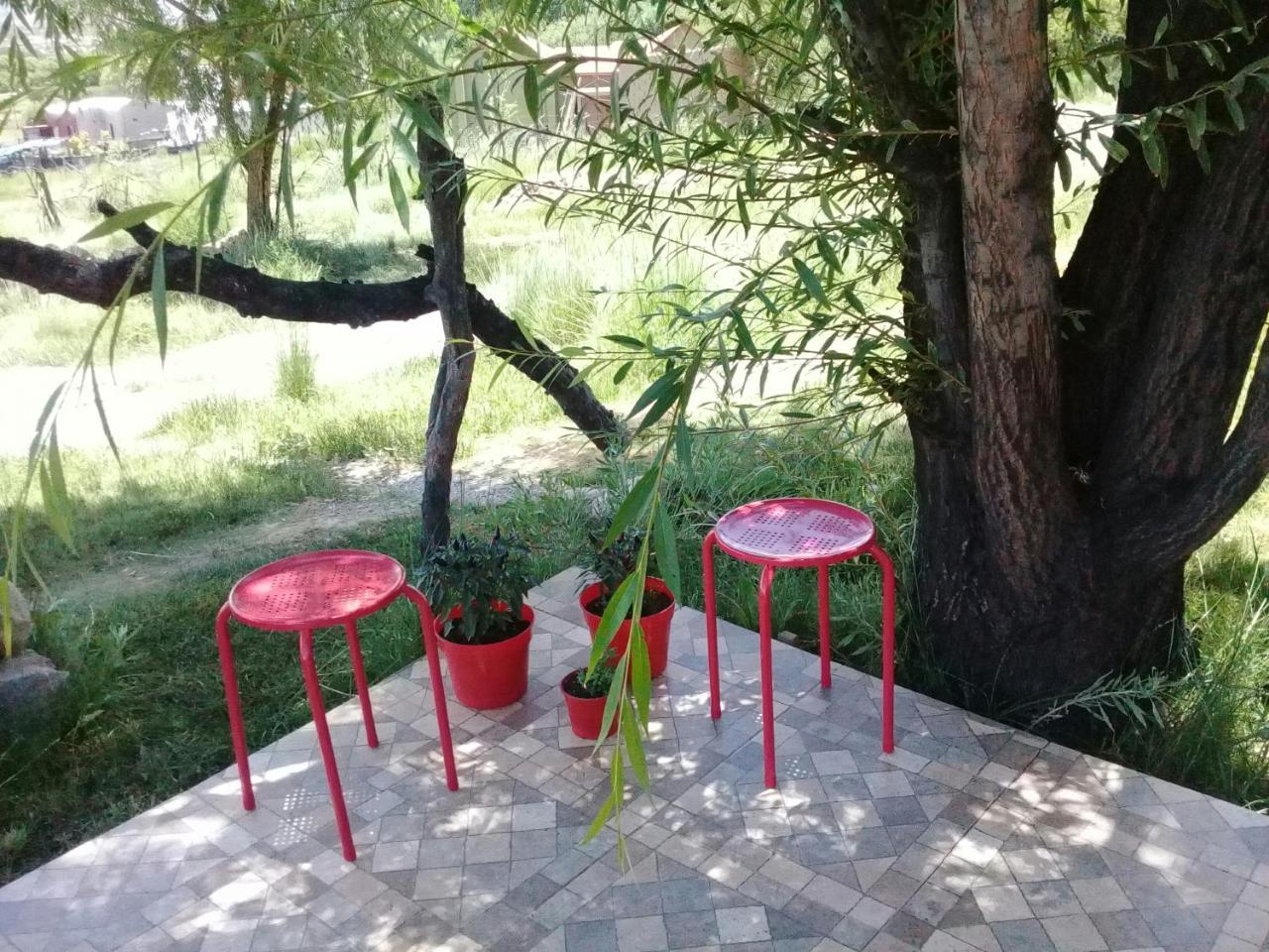 Cabana El Cardon,Casita En El Campo Quebradeno Humahuaca Exterior foto